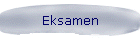 Eksamen