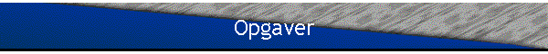 Opgaver