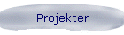 Projekter