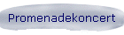 Promenadekoncert