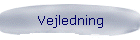 Vejledning