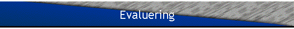 Evaluering