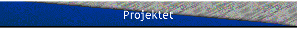 Projektet